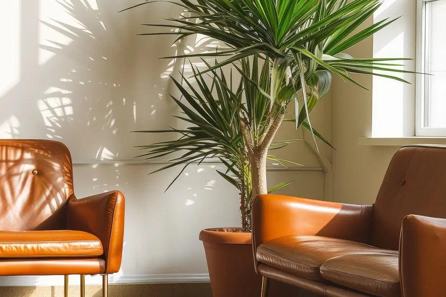 Two tan leather armchairs beside a tall potted palm, with sunlight casting leaf shadows across the wall.