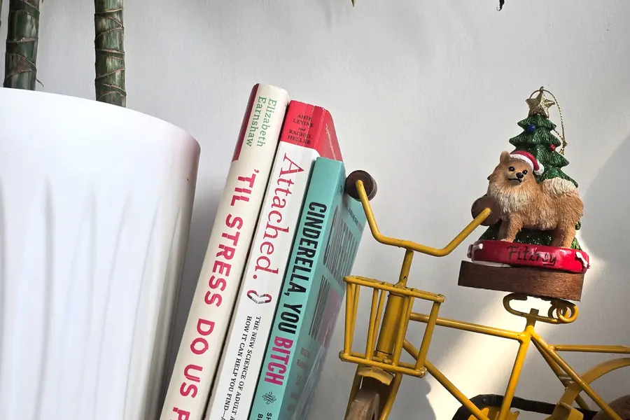 'Til Stress Do Us Part, Attached and Cinderella You Bitch, leaning against a vase beside a toy bicycle carrying a Pomeranian ornament.